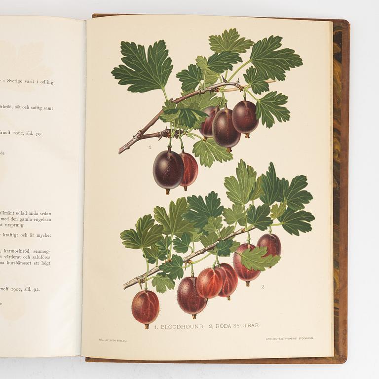Gustaf Lind, bokverk, "Svensk frukt", Centraltryckeriet, Stockholm 1920-24.