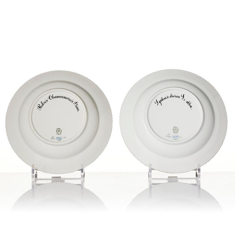 A set of 12 Royal Copenhagen 'Flora Danica' soup dishes, Denmark, 20th century.