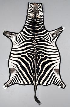 562. A 20th century zebra skin.