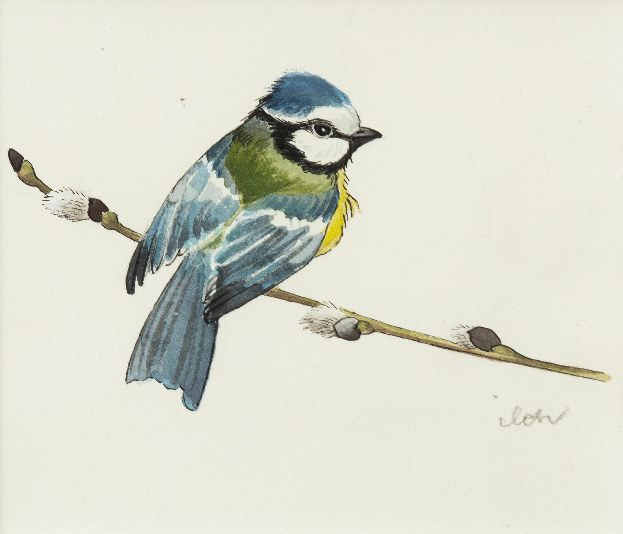 Ilon Wikland, Blue tit on a willow branch.