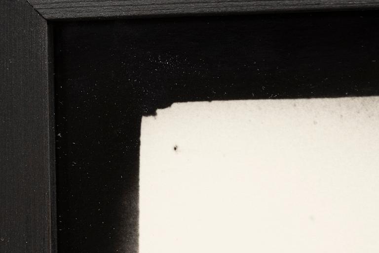 Denise Grünstein, "Blyertskameler", 1999.