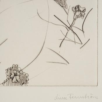 Linn Fernström, "Flygande pojke".