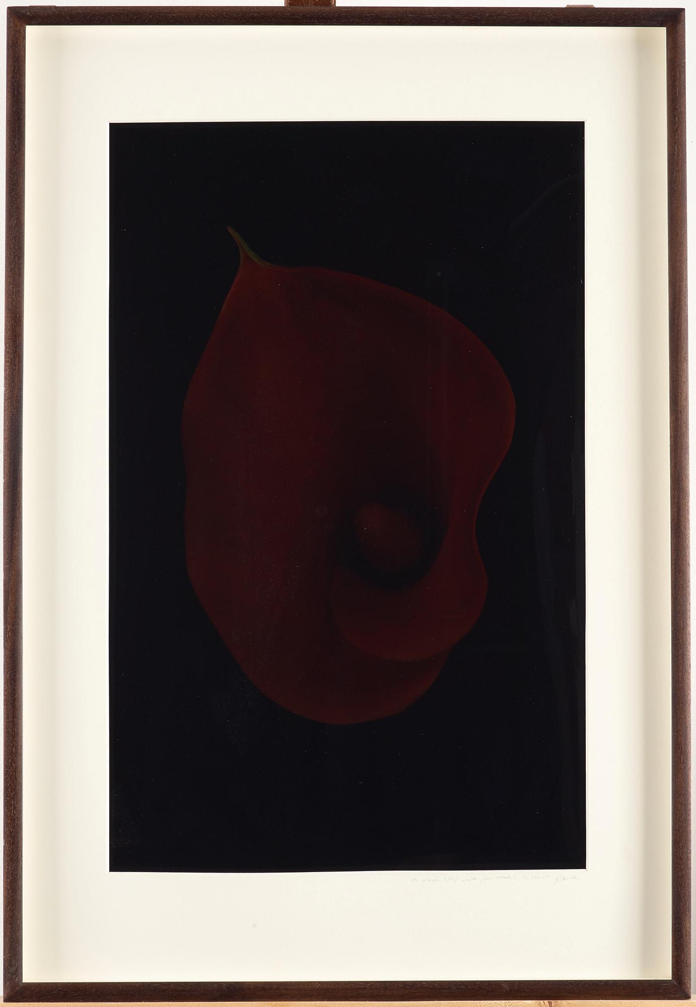 Richard Learoyd, "A Black Lily Made for Noel 16 February 03".
