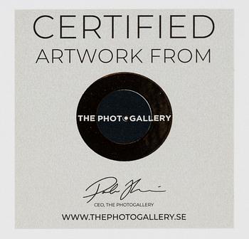 Mats Alfredsson, "Chicago", 2022.