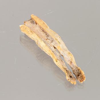 CORPUS, ben, Mellaneuropa, 1600/1700.