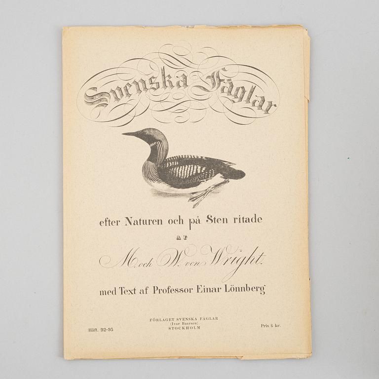 Bröderna von Wright, planschverk samt bok, "Svenska Fåglar", Ivar Baarsens förlag, Stockholm 1924-27.