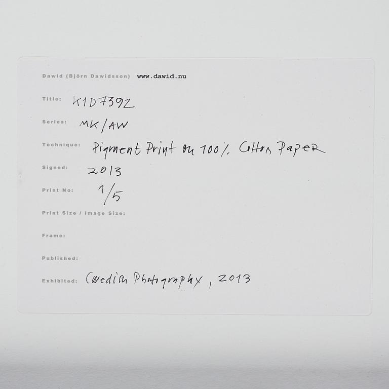 Dawid (Björn Dawidsson), "K1D7392", 2013.