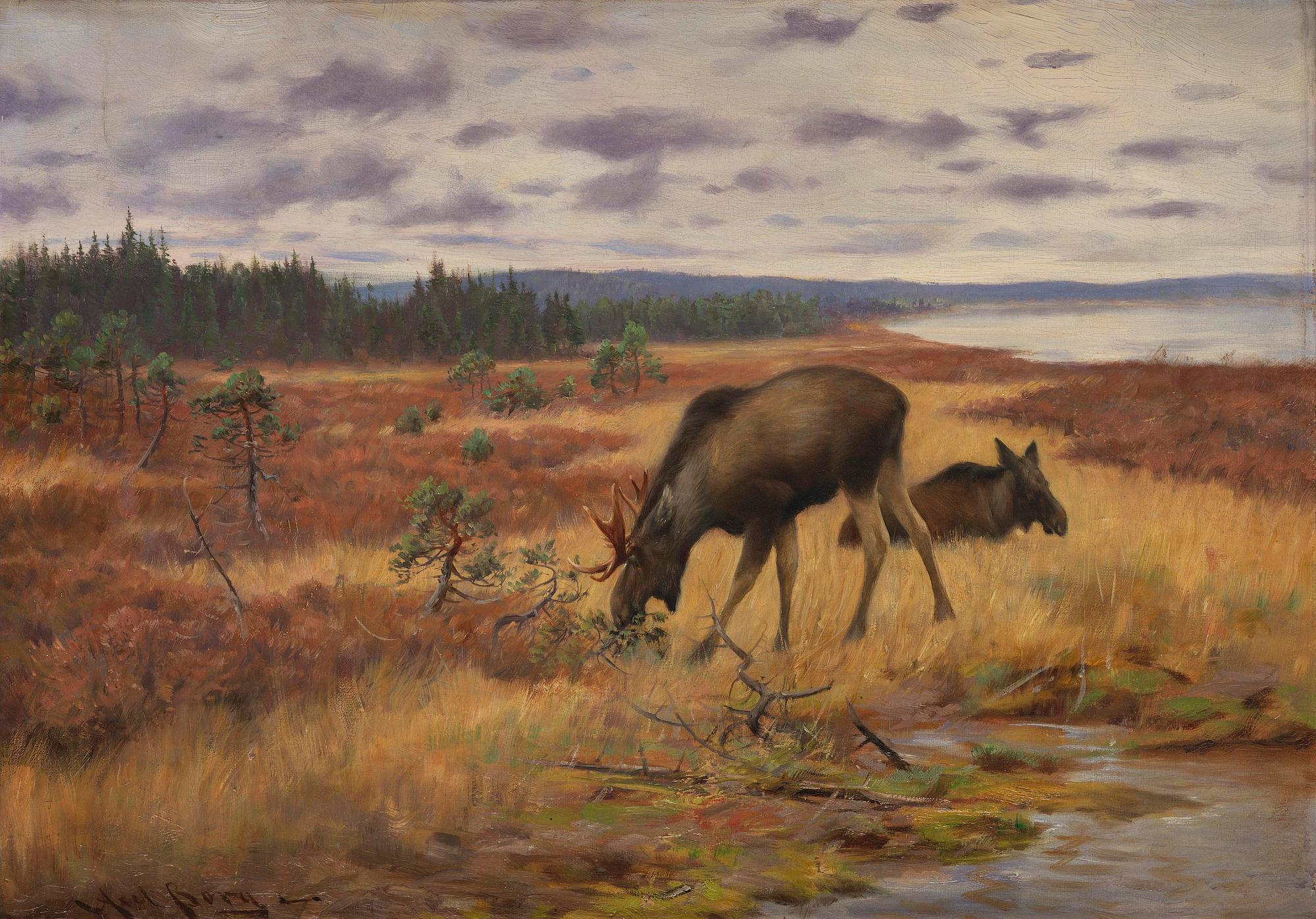Axel Borg, Älgar på myr.