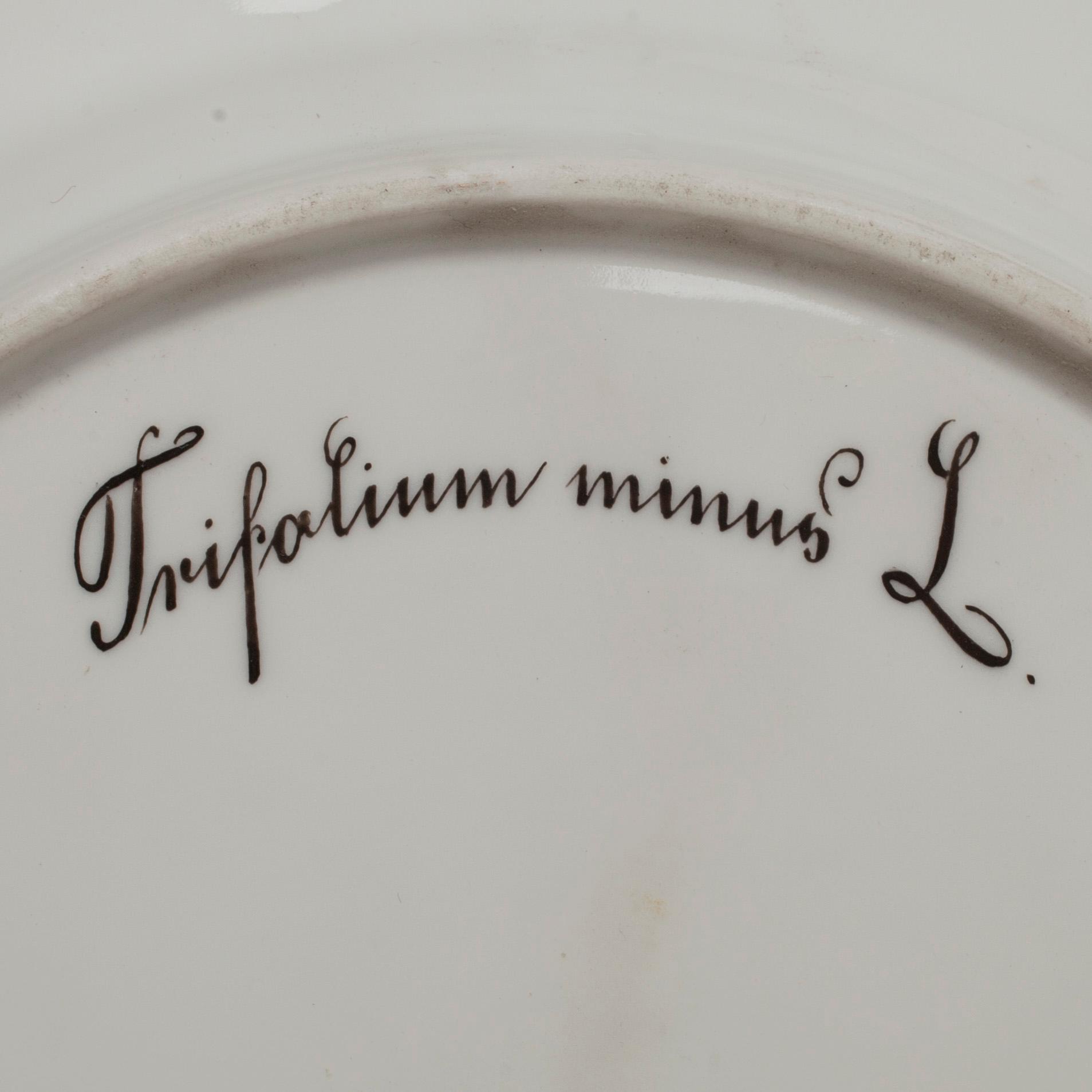 TALLRIKAR, 4 st, porslin, Flora Danica, Royal Copenhagen, 1960-tal.