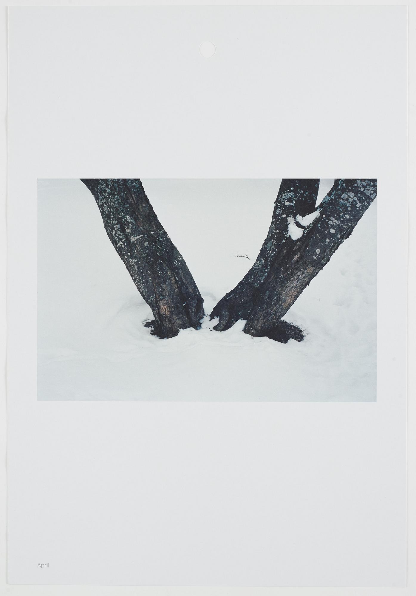 ANDREAS ERIKSSON, portfolio. Signed AE inside the box and numbered 18/250.