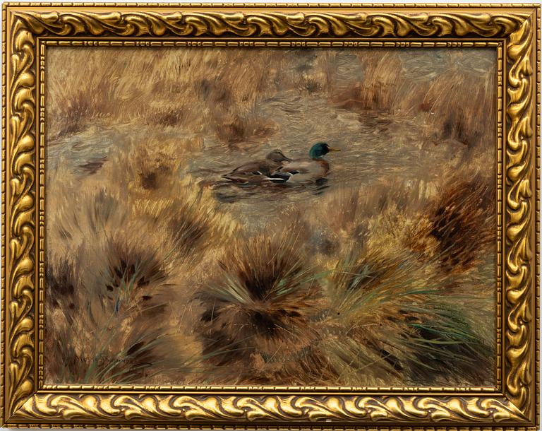 Mosse Stoopendaal, Mallards.