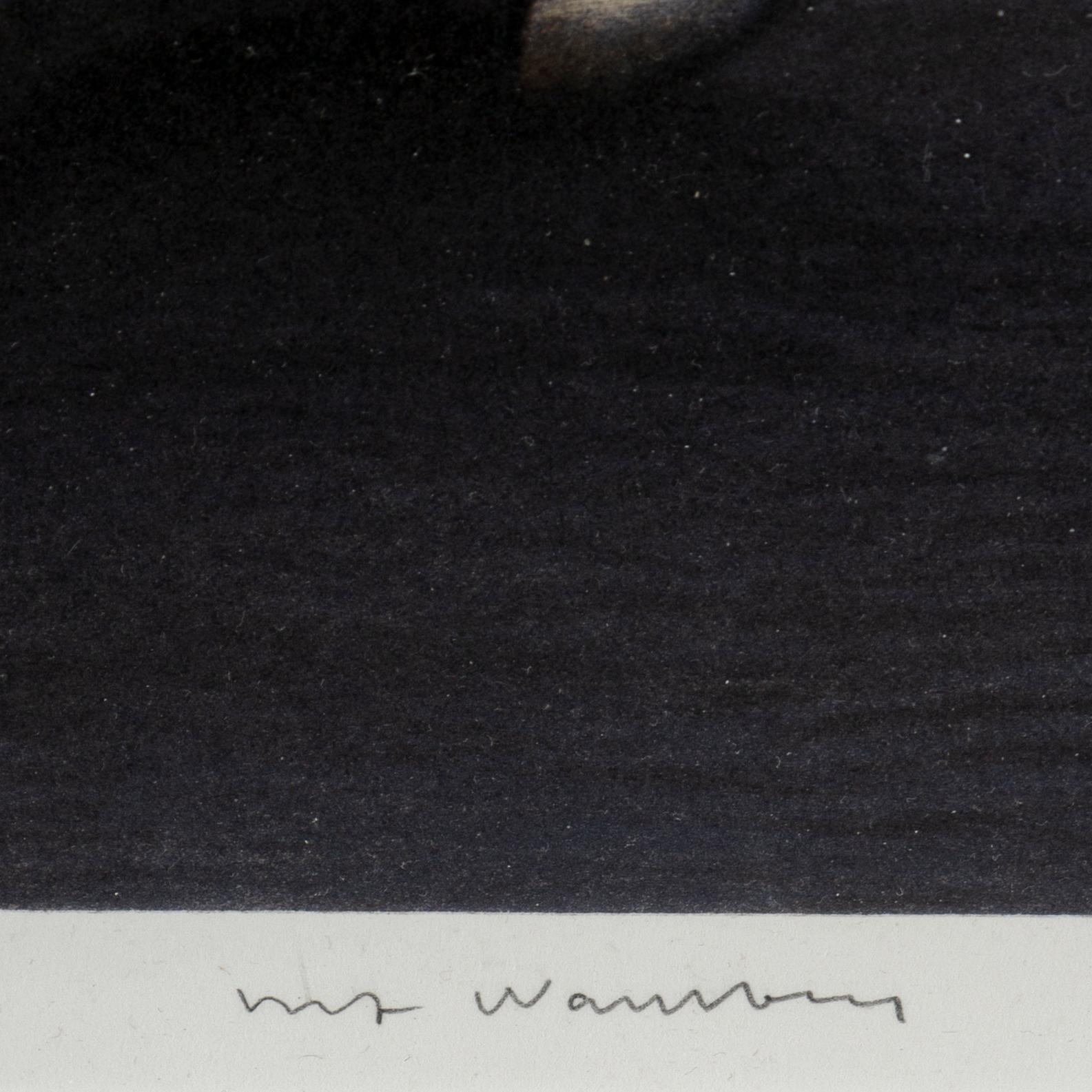ULF WAHLBERG, kithograph in colours, signed 75/80.