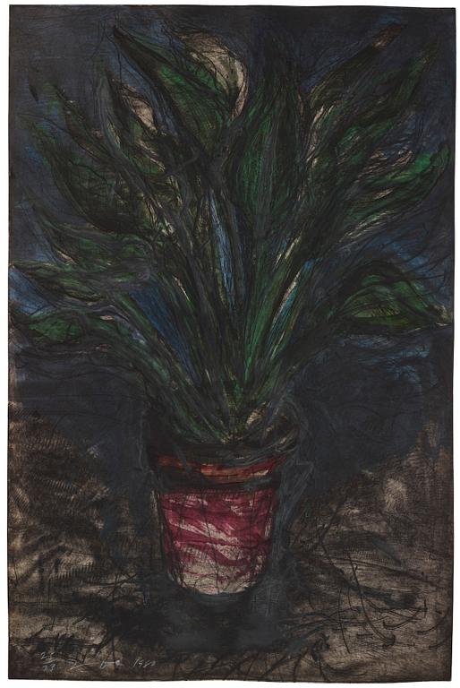 "A Well Painted Strelitzia".