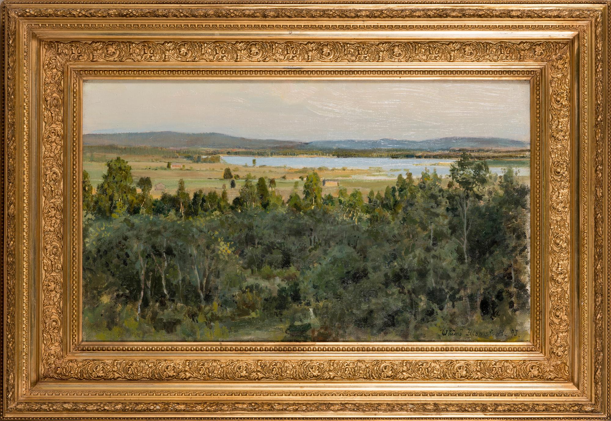 Väinö Blomstedt, Landscape.