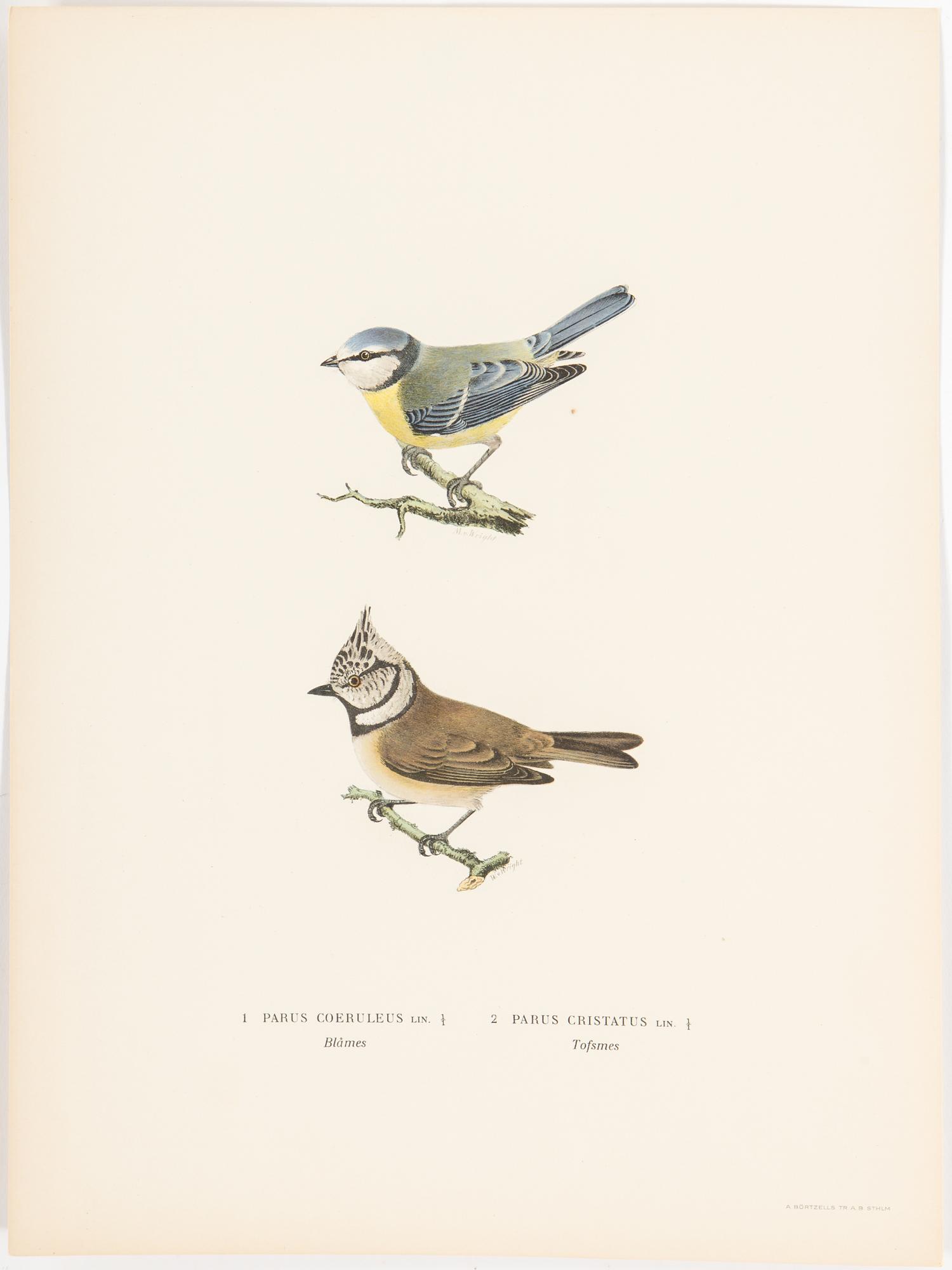 LITOGRAFISKA TRYCK, ca 30 mappar. Magnus och Wilhelm von Wright, 1918-1926.