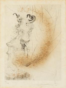 Salvador Dalí, etching with coloring, signed and numbured 70/145.