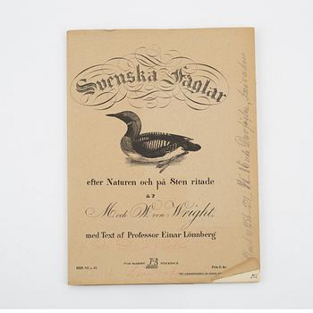 Bröderna von Wright, planschverk, "Svenska Fåglar", Ivar Baarsens förlag, Stockholm, 1920-tal.