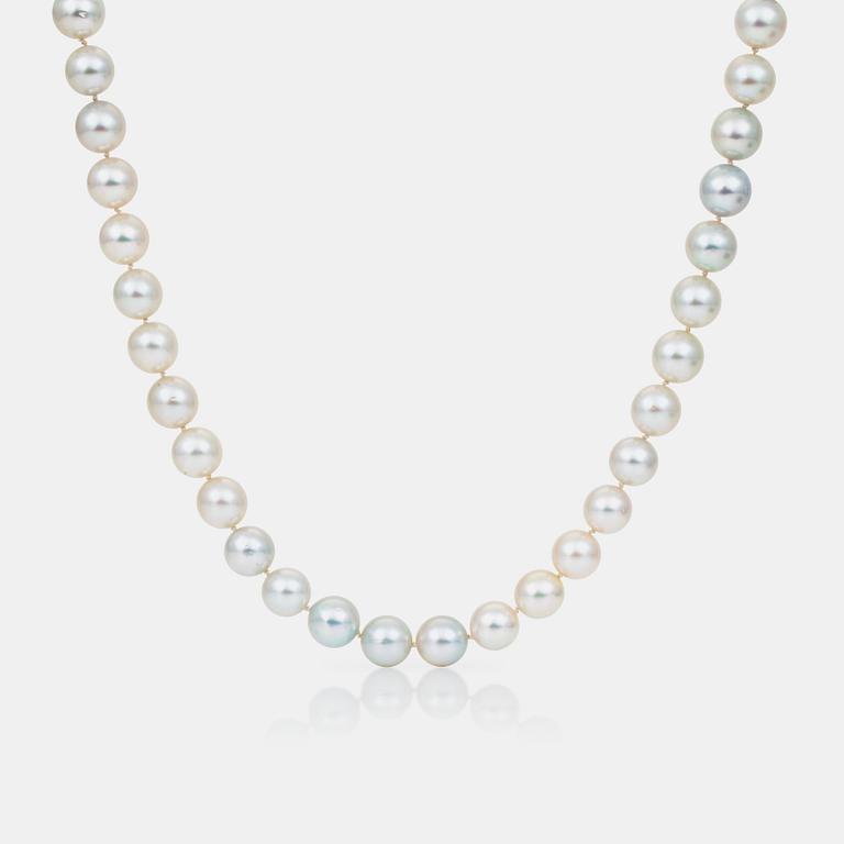 COLLIER med odlade Söderhavspärlor (South Sea) Ø 11.5 - 13 mm. Lås med tanzanit samt briljantslipade diamanter.