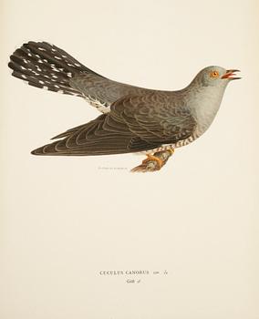 BÖCKER, 2 vol, "Svenska Fåglar", M W & F von Wright, Stockholm.