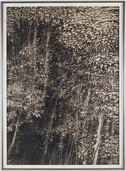 Roj Friberg, pencil on paper, signed RF and dated -72.