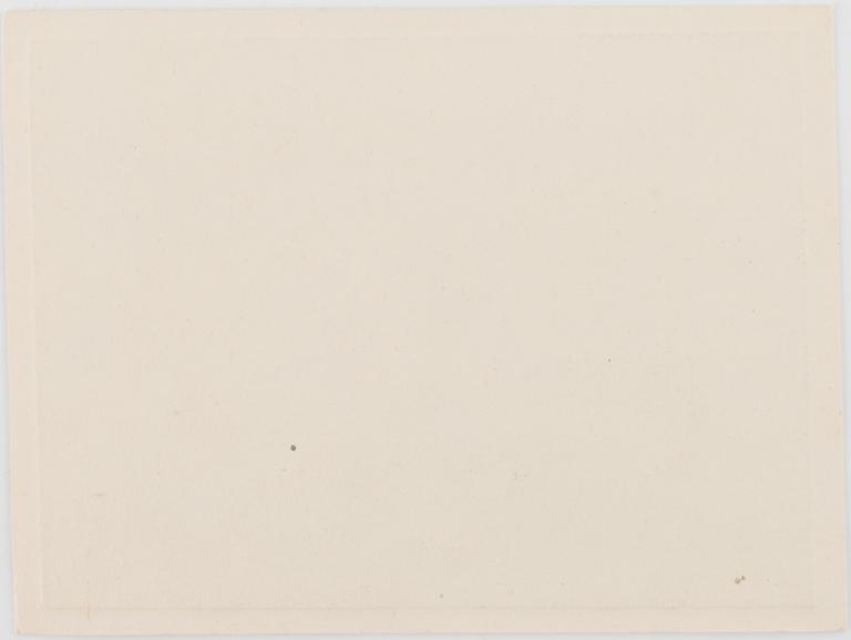 Vivi Tolli, "Abstraktne”.