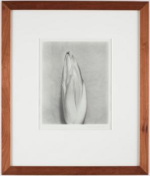 Helena Bergengren, photograph signed and dated.