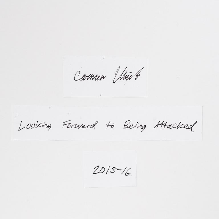 Carmen Winant, "Looking Forward to Being Attacked".