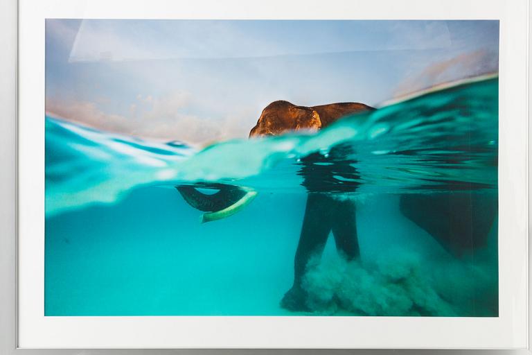 Annette Bonnier, "Morning Swim, Andaman Islands, India", 2012.