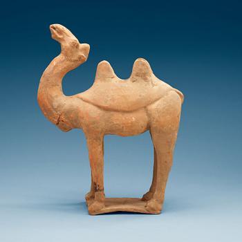 1448. A pottery figure of a Camel, presumably Tang dynasty (618-906).