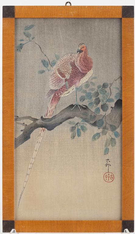 Ohara Koson, "Copper Pheasant Perching on Branch".