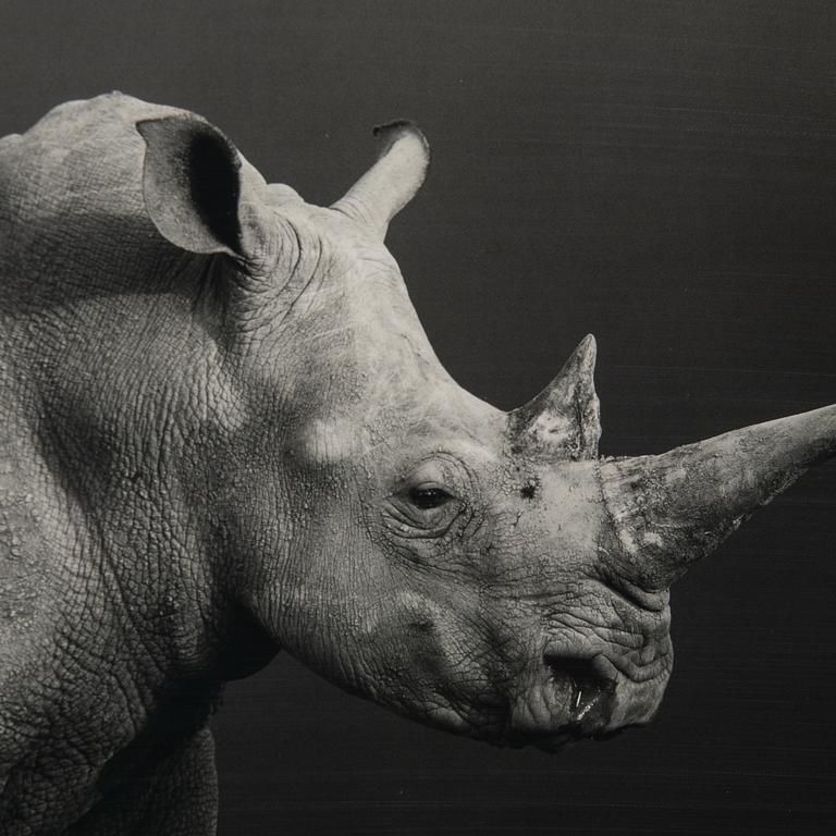 Björn Persson, "Natural Power", 2023.