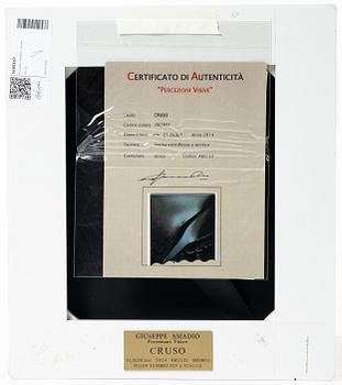 Giuseppe Amadio, "Cruso".