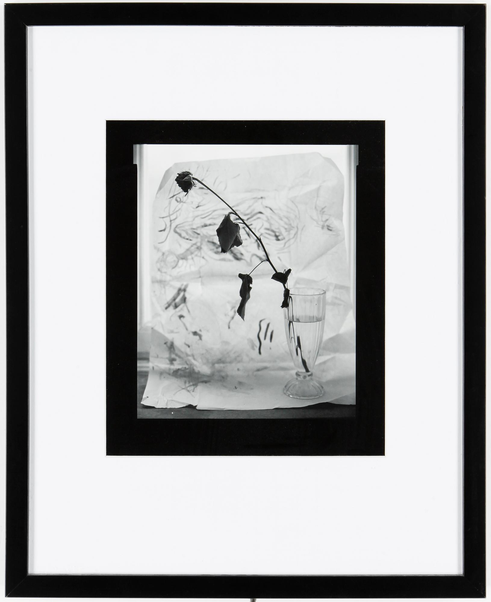 DAWID (BJÖRN DAWIDSSON), Sign Dawid och dat 1981. Vintage. Silvergelatinfotografi, bildyta 25 x 20 cm.