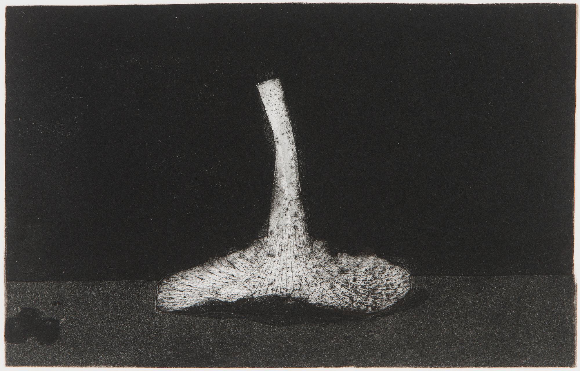 Pentti Kaskipuro, Mushroom.