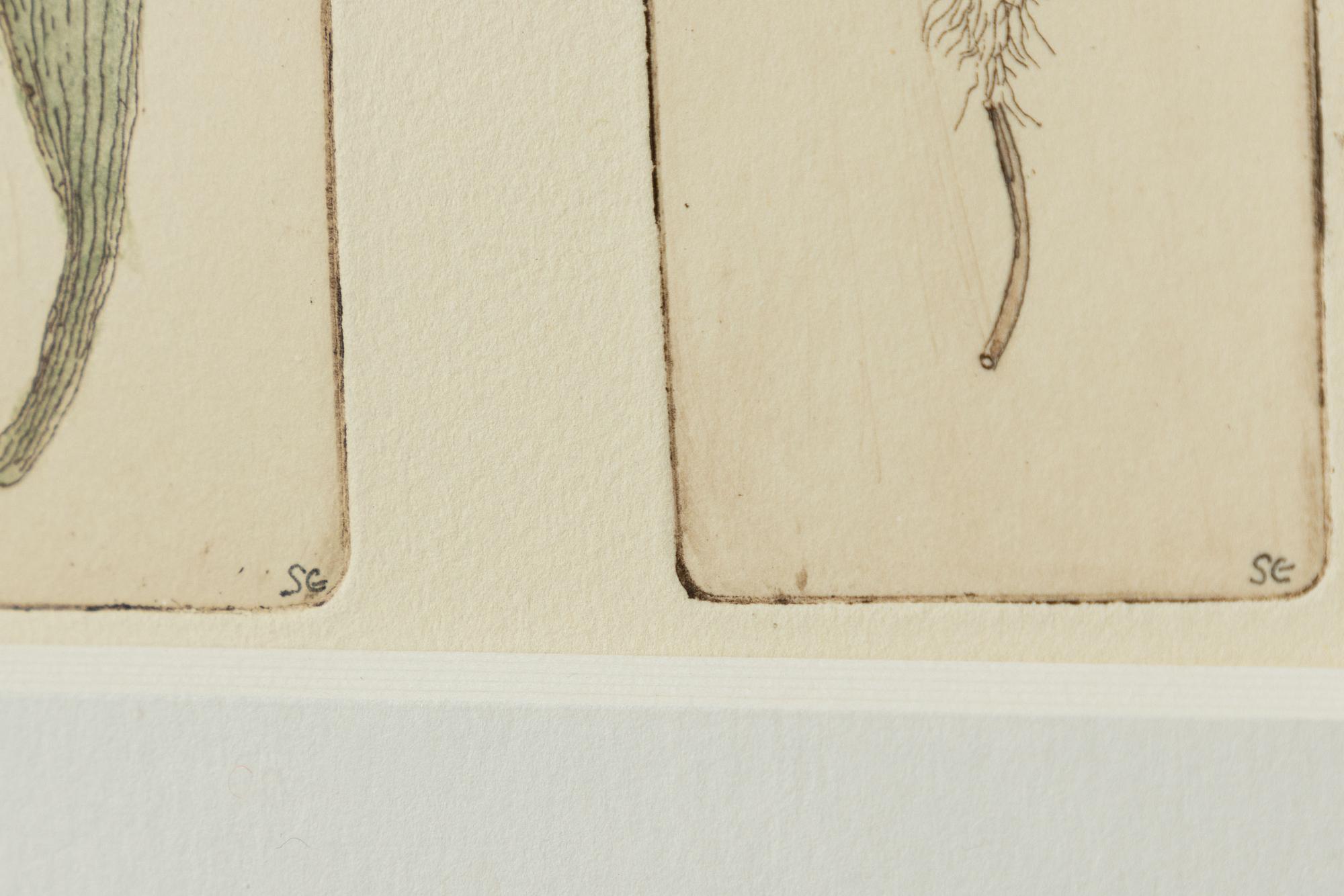 Sten Eklund, "Frukt vid buske odlad vid nr 4" From "Kullahusets hemlighet".