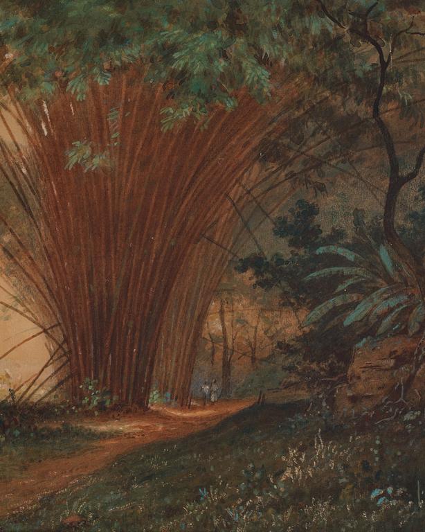 Michel-Jean Cazabon, Bamboo Arch, Trinidad.