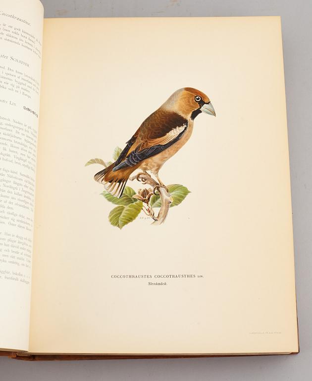 A set of three books about Swedish birds by von Wright. 1927.