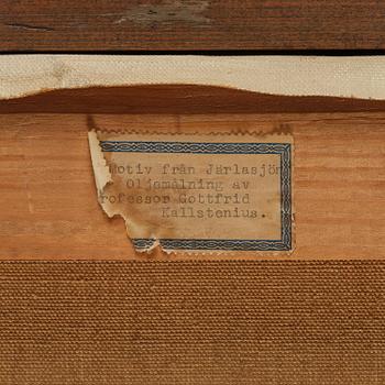 Gottfrid Kallstenius, Motif from Järlasjön.