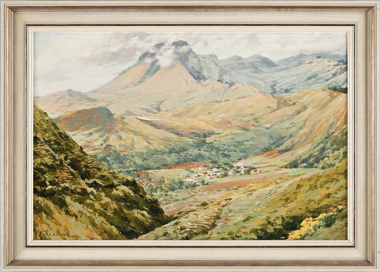 WILLEM VAN DER DOES, olja på duk. Sign.