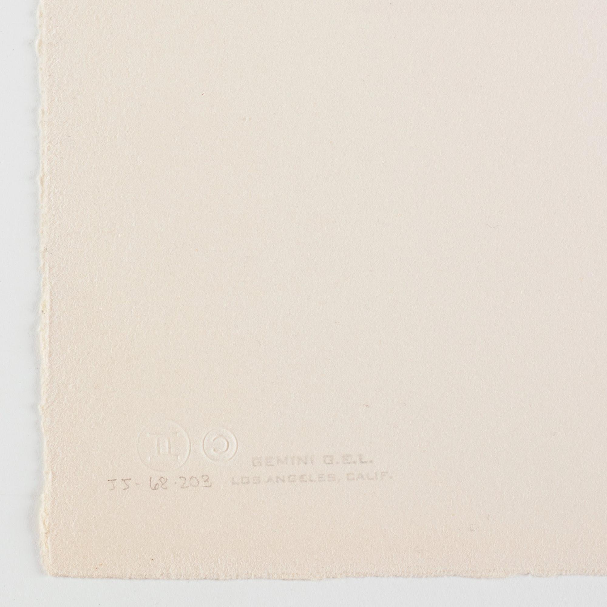 Jasper Johns, "Figure 6", from "Color Numeral Series".