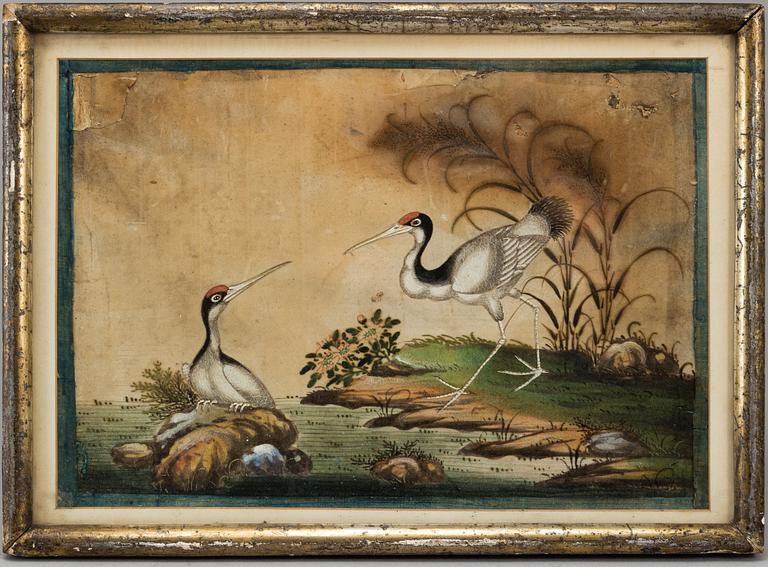 OKÄND KONSTNÄR, akvarell och tusch på rispapper, Qingdynastin, 1800-tal.