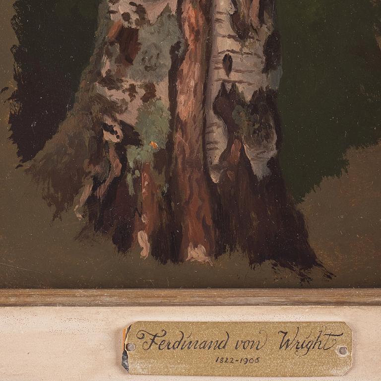 Ferdinand von Wright, Study of a Birch tree; pencilstudies of tree trunks (verso).
