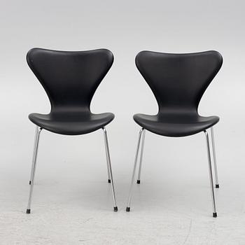 Arne Jacobsen, stolar, 6 st, "Sjuan" Fritz Hansen, Danmark, daterade 2016.