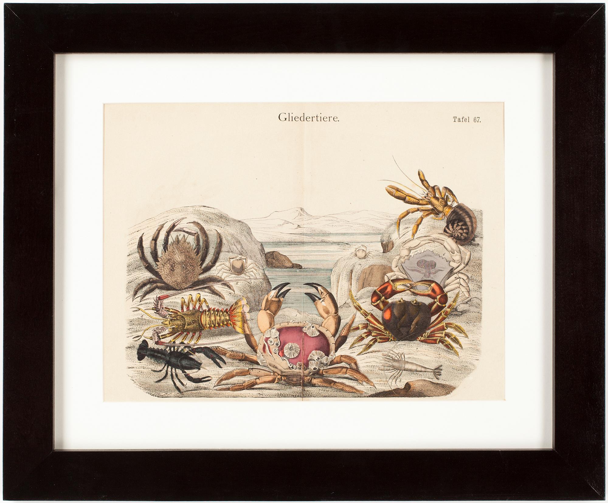 BOKPLANSCHER, 2st, färglitografier, tidigt 1900-tal.