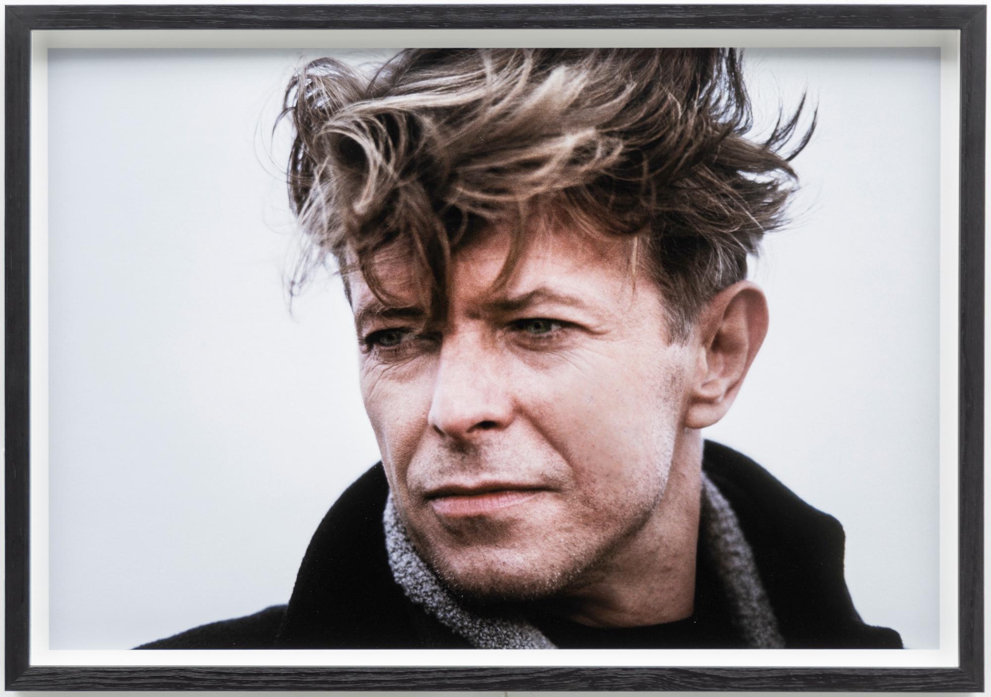 Robert Zuckerman, "David Bowie, Coney Island".