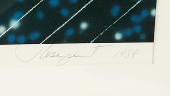 James Rosenquist, ”Starstrings".