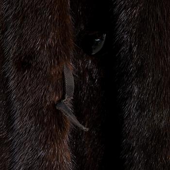 MINKKITURKKI, Saga Mink.