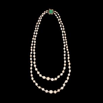 1265. A two strand natural fresh water pearl necklace, Stockholm 1935.