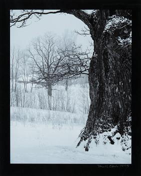 570. Taneli Eskola, "TAMME-LAURI'S OAK".