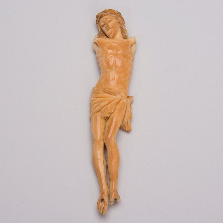CORPUS, ben, 1700-tal.